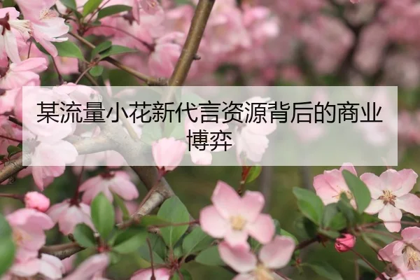 某流量小花新代言资源背后的商业博弈